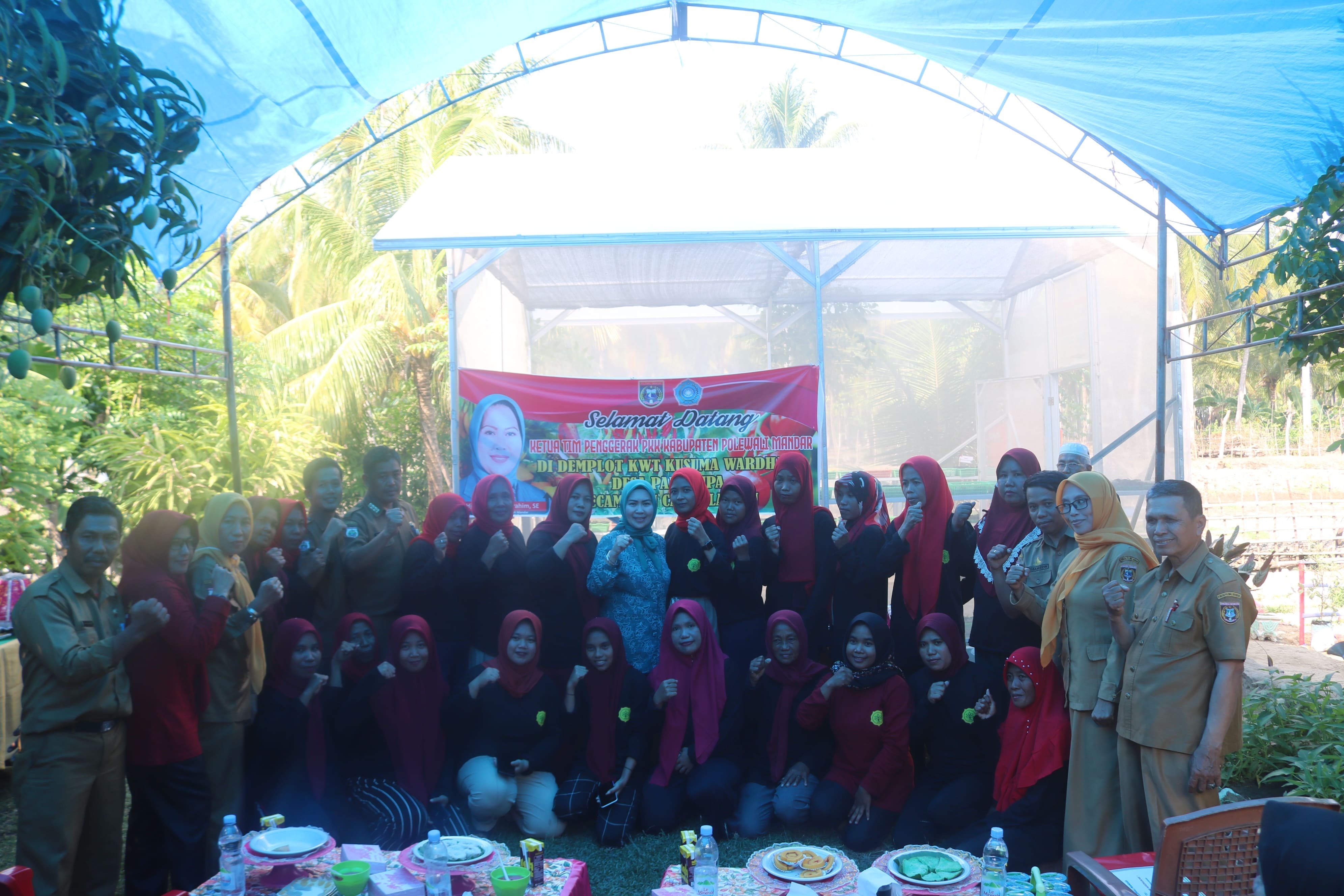 Penuhi Gizi Keluarga Kelompok Wanita Tani Kecamatan Campalagian Melalui Program P2L 
